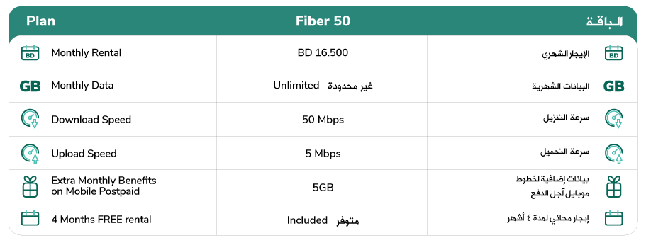 Fiber-50.jpg